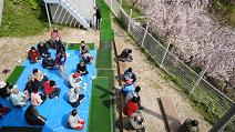 Hanami_shidare_zakura_2013_4_14_1.JPG